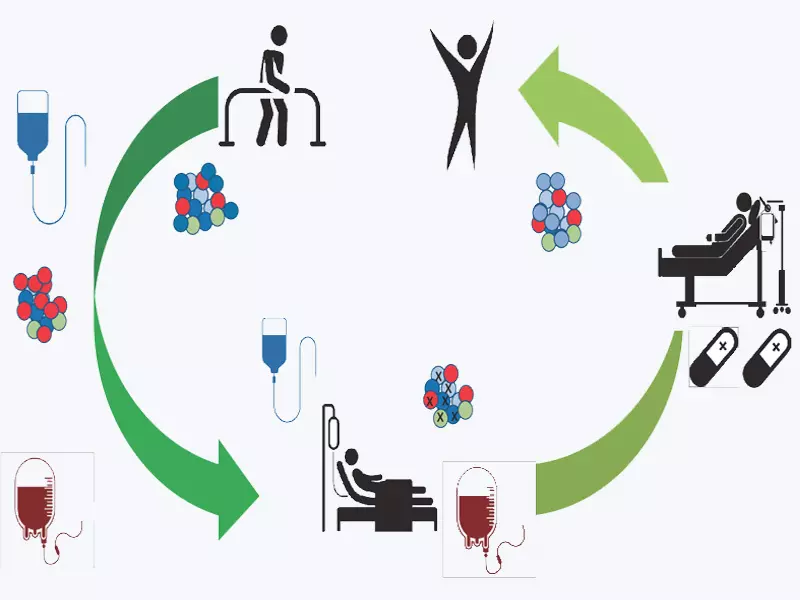 مراحل پیوند مغز استخوان