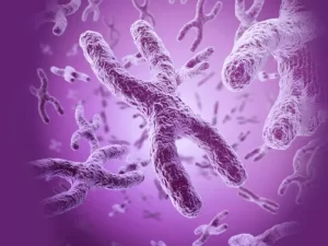 SCID یا بیماری نقص ایمنی مرکب شدید چیست