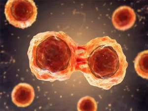 پیوند مغز استخوان برای کودکان چیست