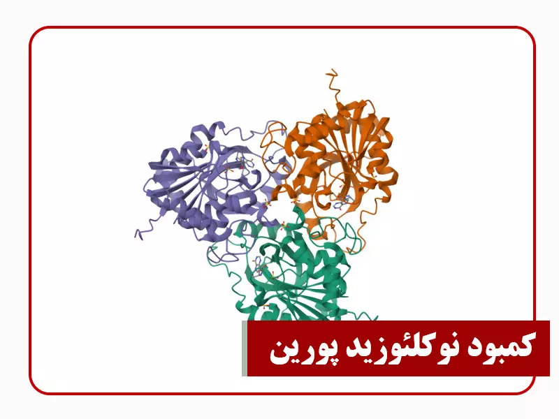 کمبود نوکلئوزید پورین 1