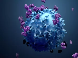 کمبود نوکلئوزید پورین فسفریلاز