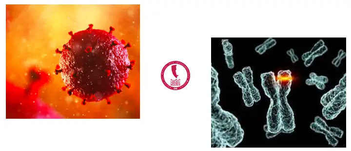 دلایل ابتلا به نقص ایمنی