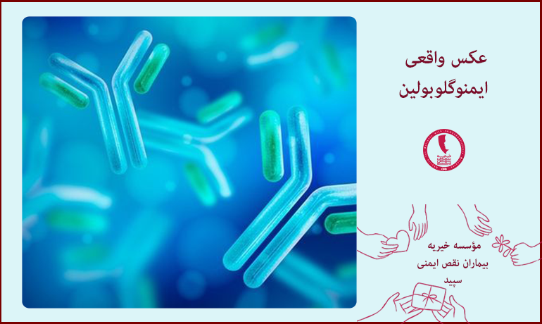 عکس واقعی ایمنوگلوبولین
