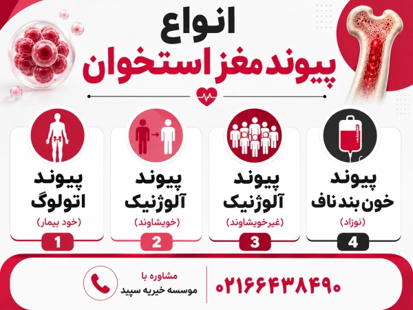 انواع پیوند مغز استخوان